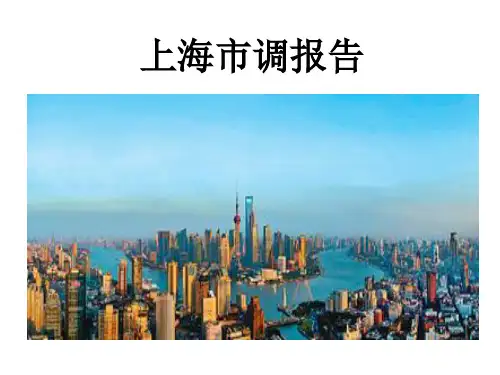 上海各商场调研报告