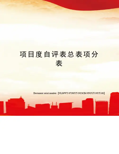 项目度自评表总表项分表