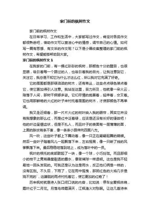 家门前的枫树作文