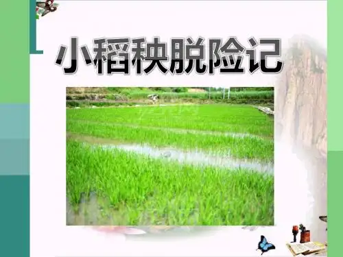 小稻秧脱险记_PPT优秀课件6
