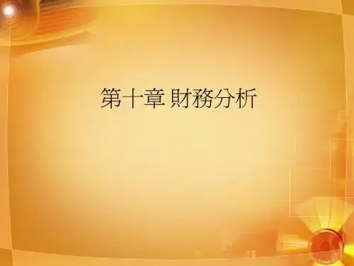 第十章 财务分析