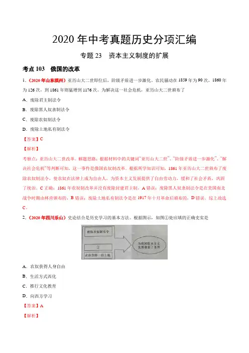 专题23 资本主义制度的扩展(第01期)-2020年中考历史真题分项汇编 带解析
