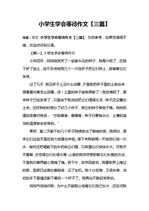小学生学会等待作文【三篇】
