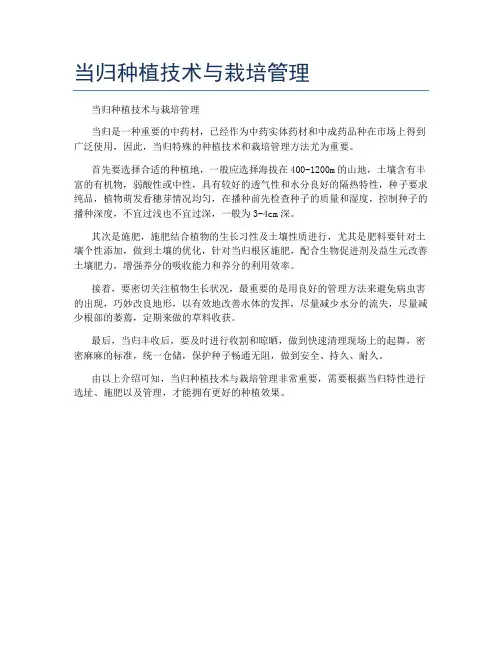 当归种植技术与栽培管理