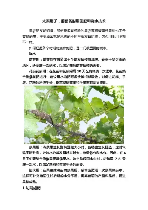 太实用了，葡萄各时期施肥和浇水技术