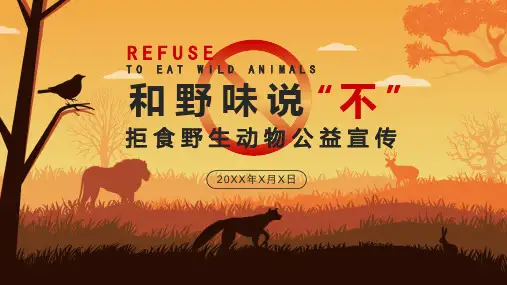 简约风保护野生动物宣传教育精品PPT教学讲座课件