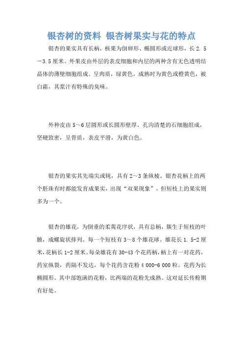银杏树的资料 银杏树果实与花的特点