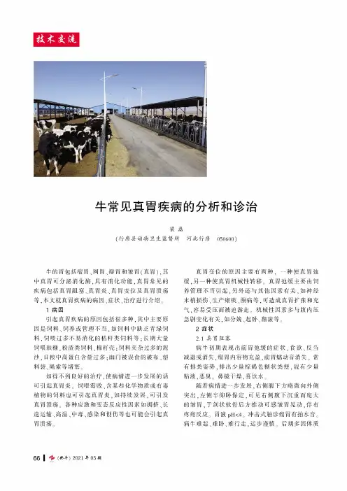 牛常见真胃疾病的分析和诊治