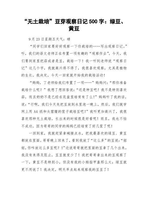 “无土栽培”豆芽观察日记500字：绿豆、黄豆_作文