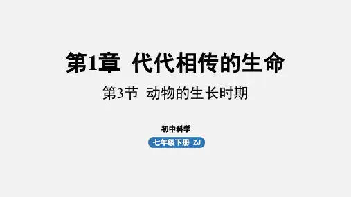 浙教版七年级科学下册课件 第一章 第3节 动物的生长时期