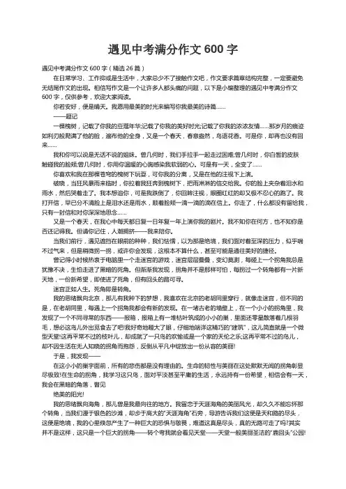 遇见中考满分作文600字（精选26篇）