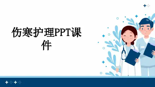 伤寒护理PPT课件