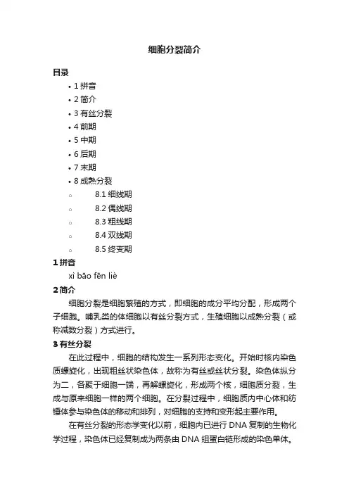 细胞分裂简介