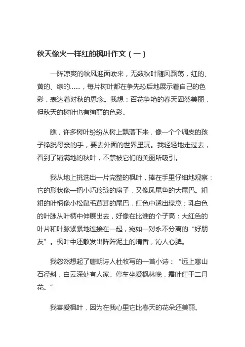 秋天像火一样红的枫叶作文