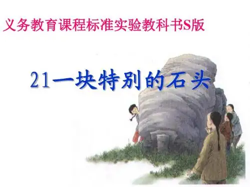冯。。。21.一块特别的石头