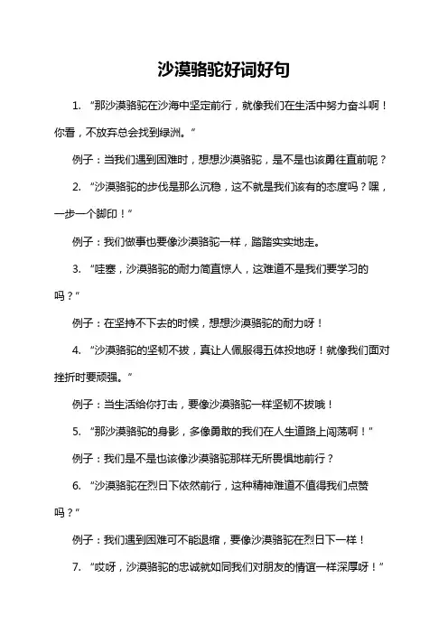 沙漠骆驼好词好句