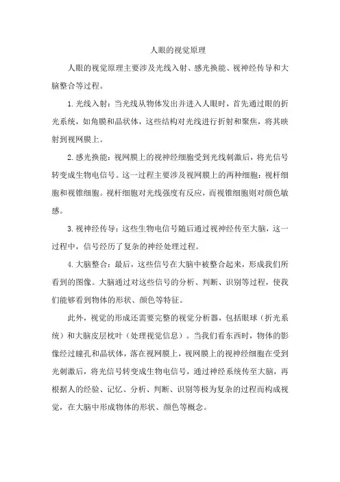 人眼的视觉原理