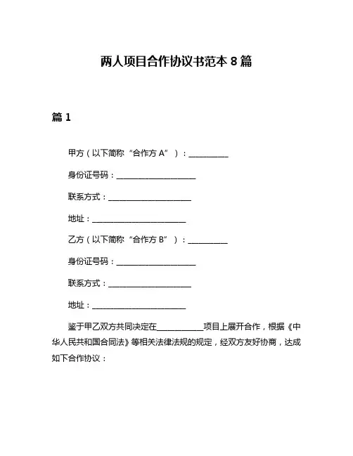 两人项目合作协议书范本8篇