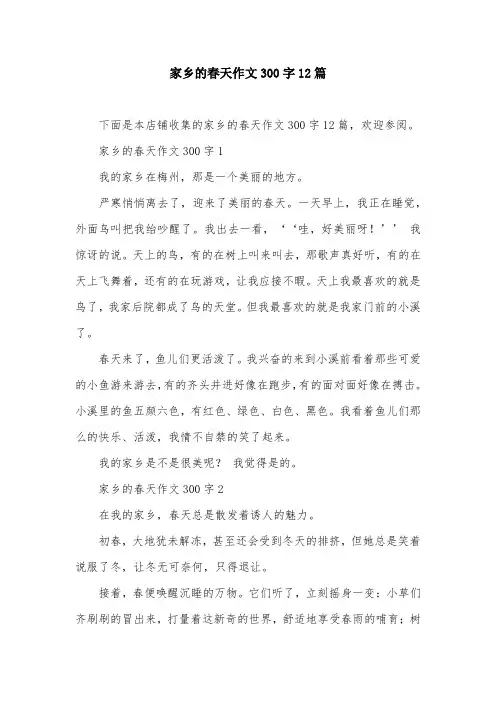 家乡的春天作文300字12篇