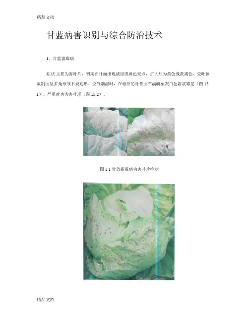(整理)甘蓝病害及防治
