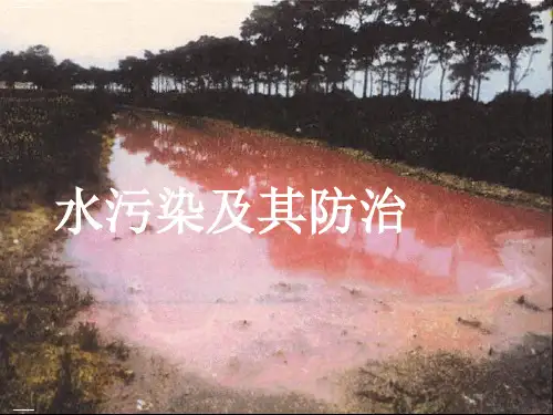 六年级下册科学课件-水污染及其防治 人教版 (共19张PPT)