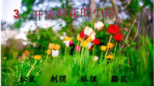 开满鲜花的小路.ppt