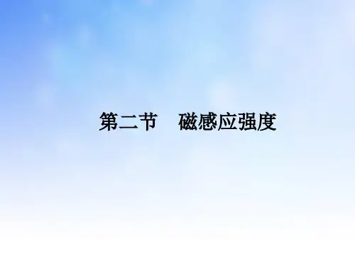 磁感应强度PPT