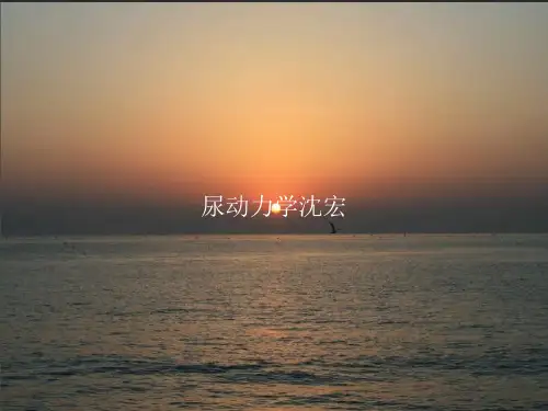 《尿动力学沈宏》PPT课件教案