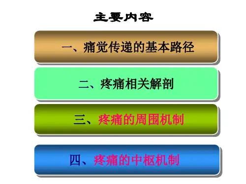疼痛的基础理论与知识总结课件