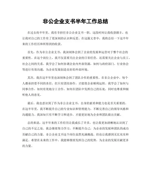 非公企业支书半年工作总结