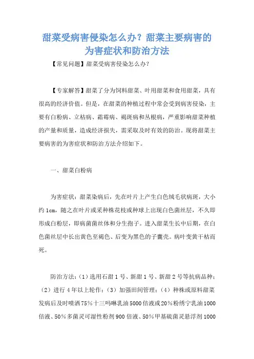 甜菜受病害侵染怎么办？甜菜主要病害的为害症状和防治方法