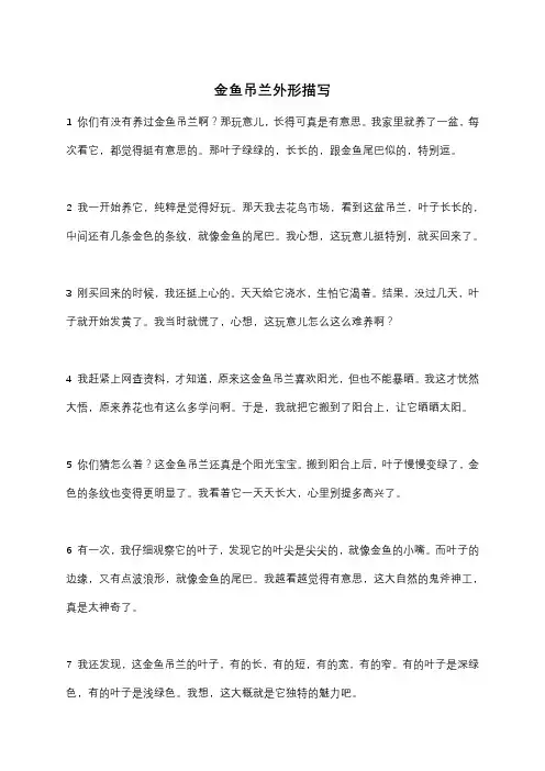 金鱼吊兰外形描写
