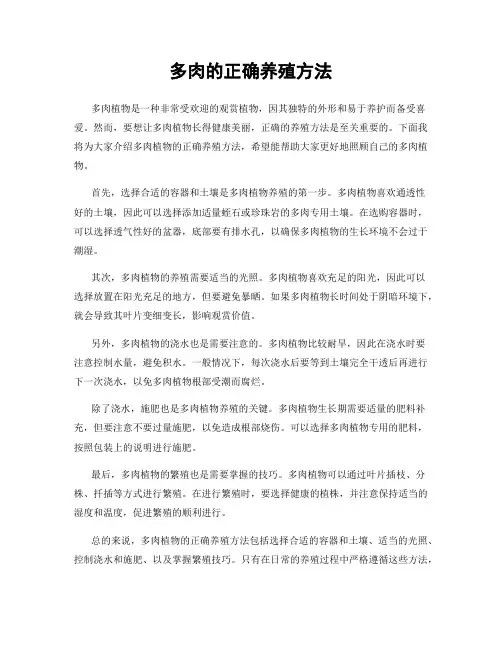 多肉的正确养殖方法