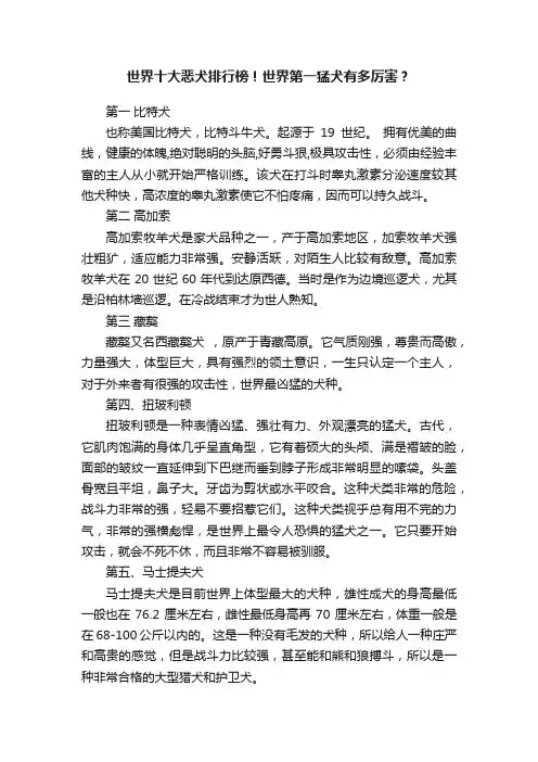 世界十大恶犬排行榜！世界第一猛犬有多厉害？