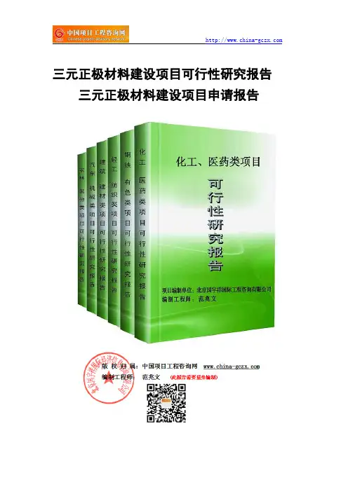 三元正极材料建设项目可行性研究报告-备案立项