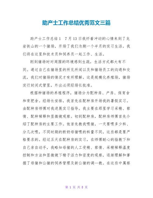 助产士工作总结优秀范文三篇