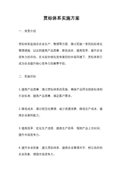 贯标体系实施方案