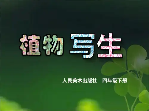 四年级下册美术课件-1植物写生-人美版 (共17张PPT) (1)