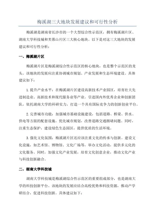 梅溪湖三大地块发展建议和可行性分析