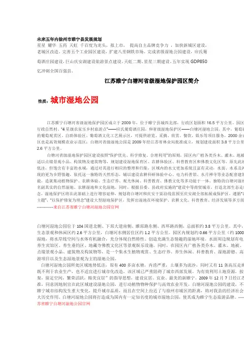 未来五年内徐州市睢宁县发展规划