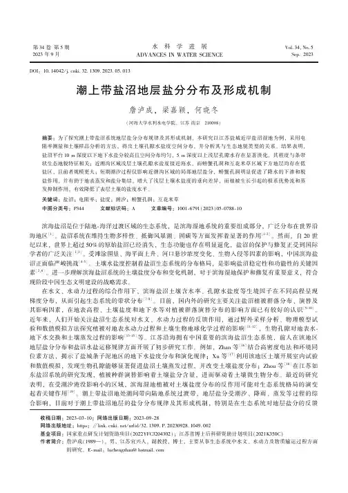 潮上带盐沼地层盐分分布及形成机制