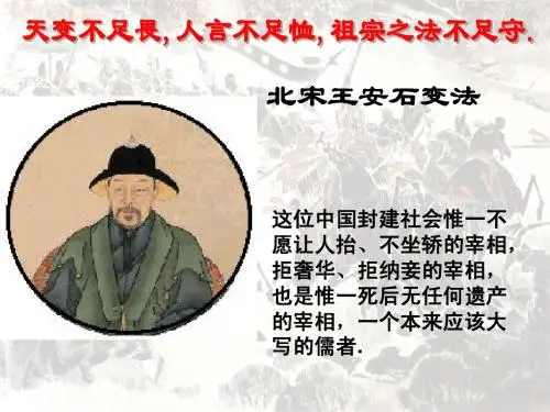 高中历史选修6北宋王安石变法