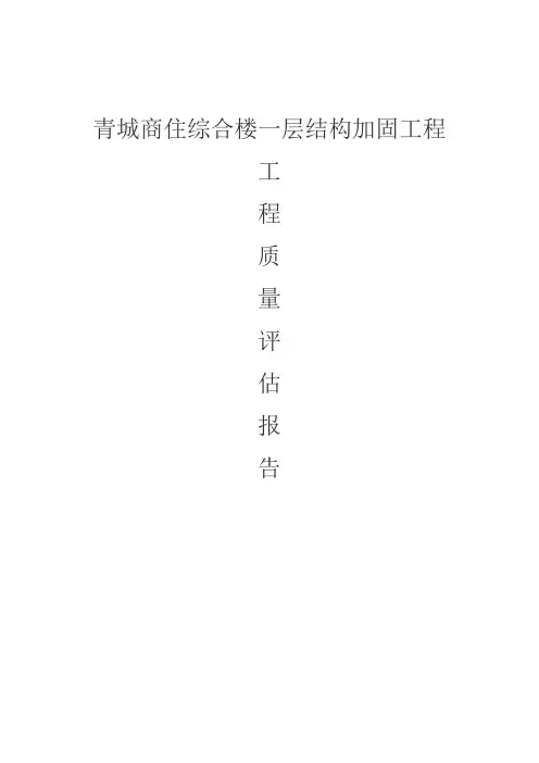 加固工程评估报告【范本模板】