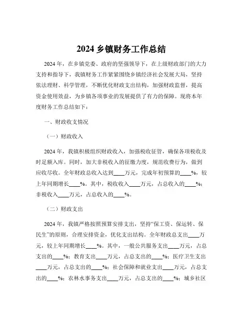 2024乡镇财务工作总结