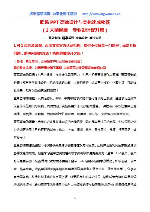 《职场PPT高效设计与美化速成秘笈(精通版)》