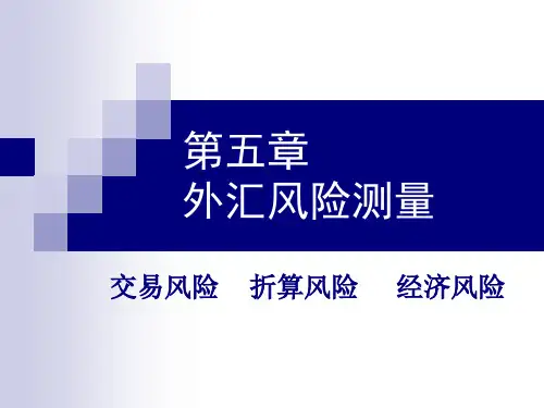 第5章外汇风险测量