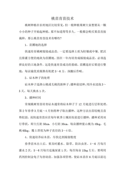 桃苗育苗技术