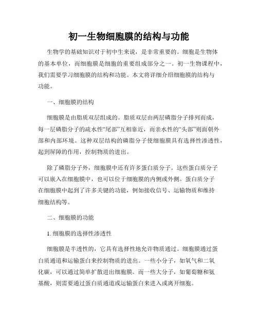 初一生物细胞膜的结构与功能
