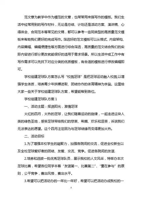 2022年学校组建足球队方案5篇范文word版