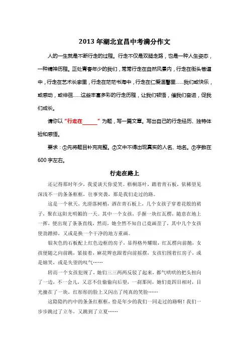 2013年湖北宜昌中考满分作文《行走在路上》